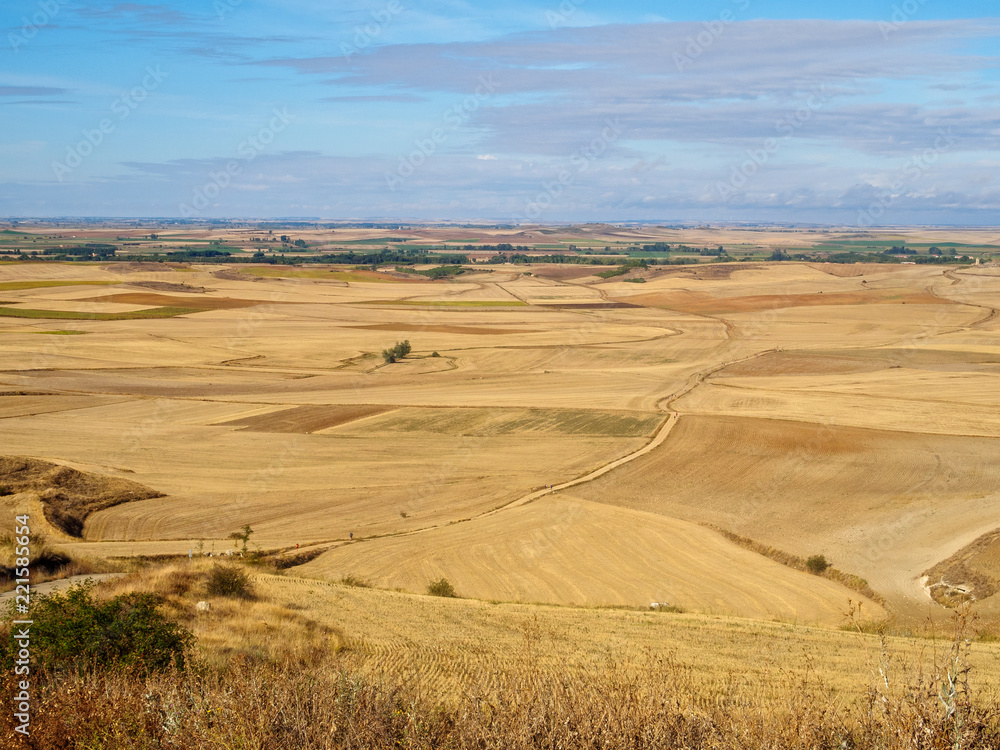 View backward of the valley from Alto Mestelares - Castrojeriz, Castile and Leon, Spain