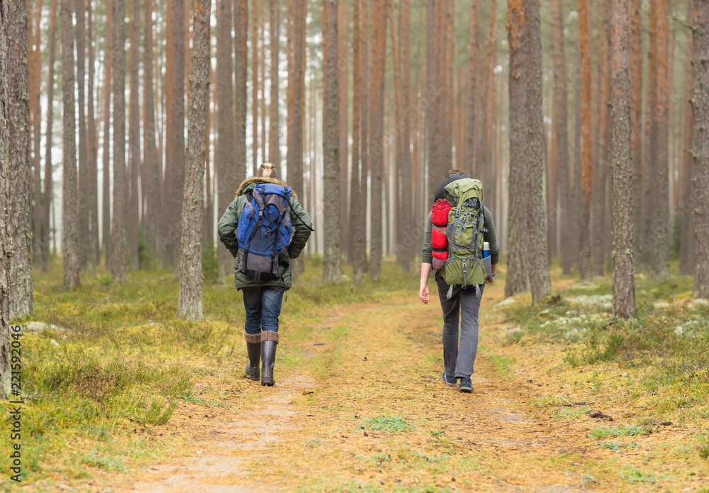 Man with a backpack and beard and his friend hiking in forest in autumn.