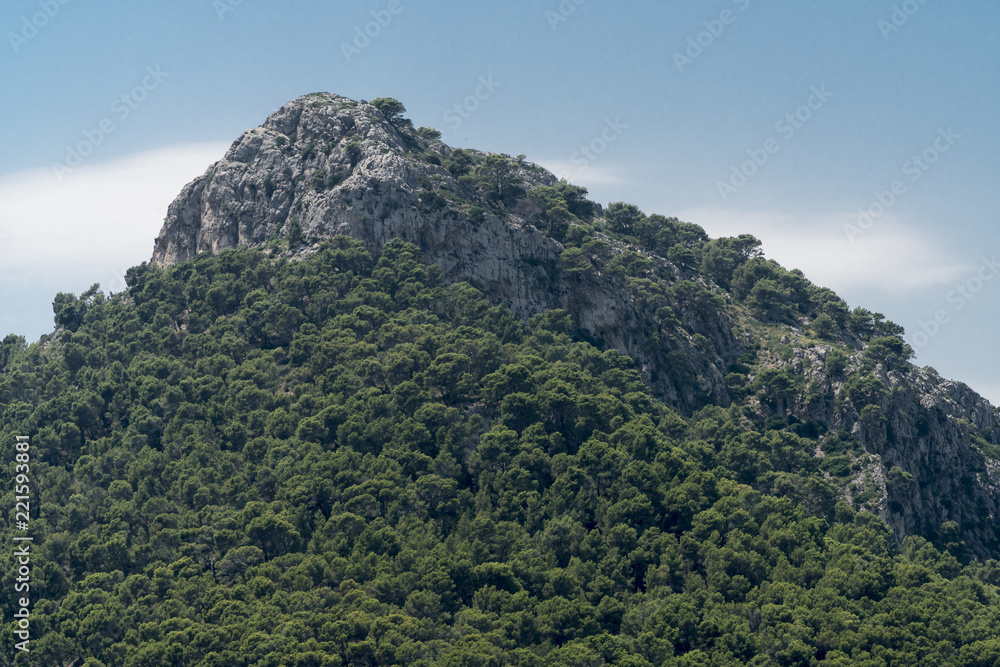 Bewaldeter Berggipfel