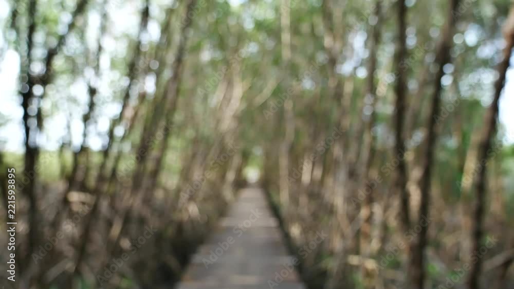 Walk way through mangrove forest located south of Thailand Walk way through mangrove forest located south of Thailand