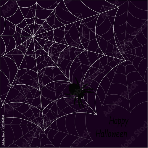 Happy Halloween. Illustration with a cobweb on a purple background