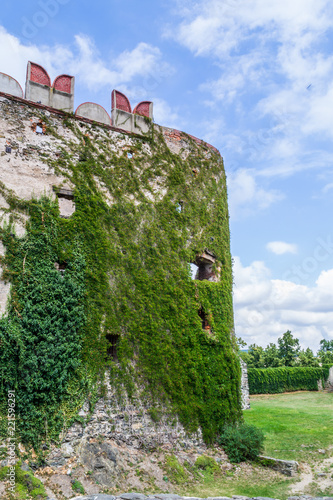 Ruiny średniowiecznego zamku w Bolkowie, Polska photo