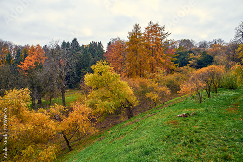 Fototapeta Naklejka Na Ścianę i Meble -  Hryshko National Botanical Garden at autumn in Kyiv, Ukraine