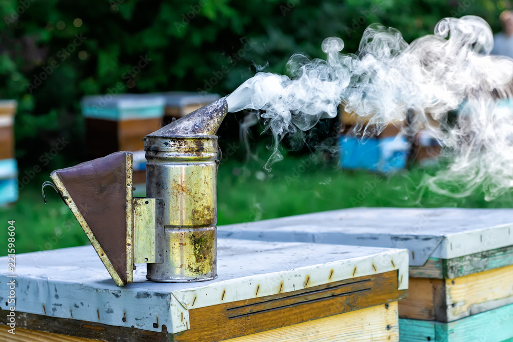 Beetroot chimney. Beehives on the outskirts of the forest. Concept of beekeeping. Beetroot chimney. Beehives on the outskirts of the forest. Concept of beekeeping.