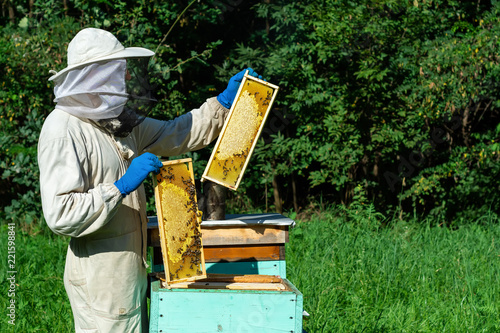 Beekeeper on apiary. Beekeeper is working with bees and beehives on the apiary. Apiculture concept