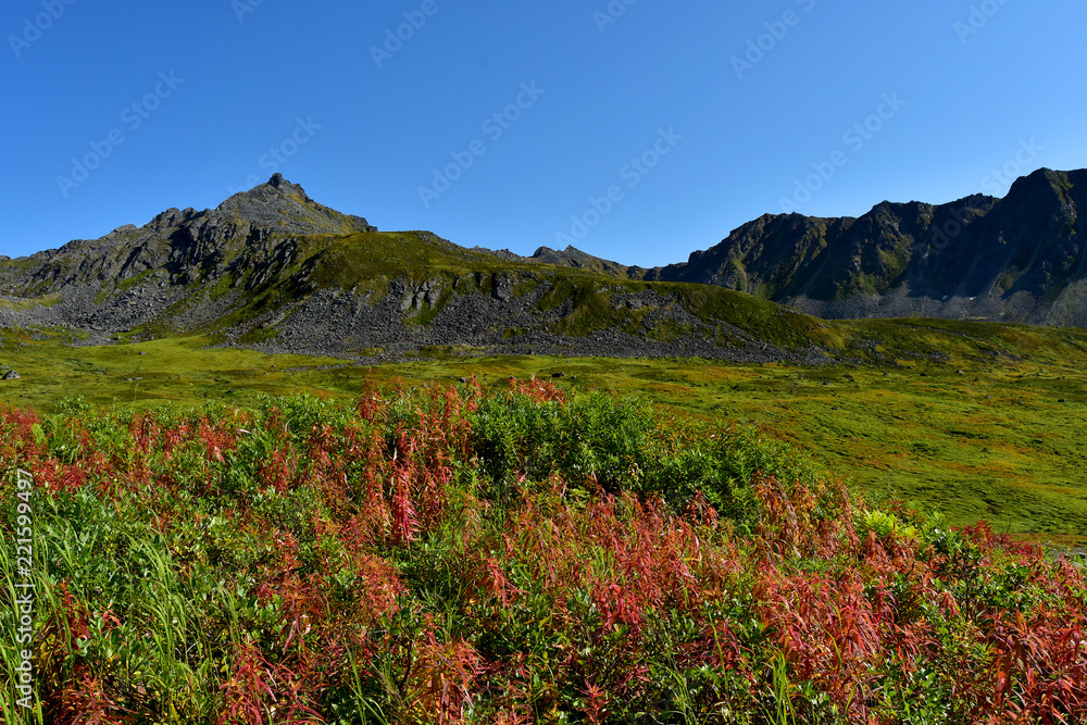 Alaska Autumn colors