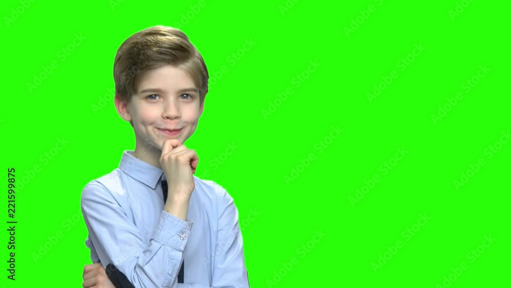 Pensive schoolboy portrait and free space for text. Green hromakey background for keying. Pensive schoolboy portrait and free space for text. Green hromakey background for keying.