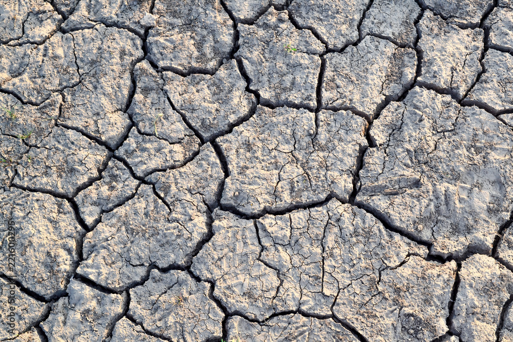Cracks in the ground. Dry, dehydrated soil. Drought. Ecological catastrophy Cracks in the ground. Dry, dehydrated soil. Drought. Ecological catastrophy