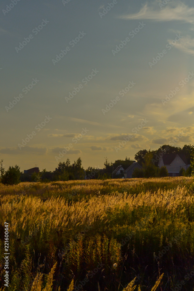 Rural landscape in evening at sunset. Silhouette of village against beautiful gradient evening sky. Evening landscape in yellow tones. Rural landscape in evening at sunset. Silhouette of village against beautiful gradient evening sky. Evening landscape in yellow tones.