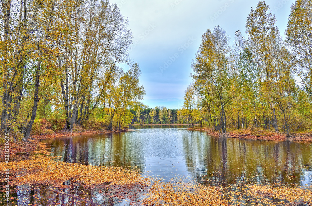 Colorful autumn sunny landscape on the lakeside with reflection of blue sky, clouds and trees on the water with ripple and golden leaves covered