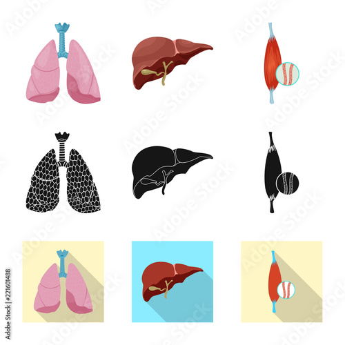 Vector illustration of body and human sign. Set of body and medical vector icon for stock.