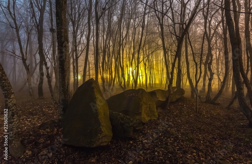 Night spring forest. A thick night mist, light from a lantern and the moon. Full moon. Mysteriousness. photo