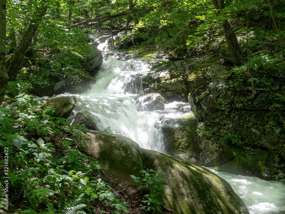 Waterfall in Shenandoah