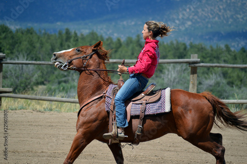 Cowgirl on Chestnut Horse Barrel Racing