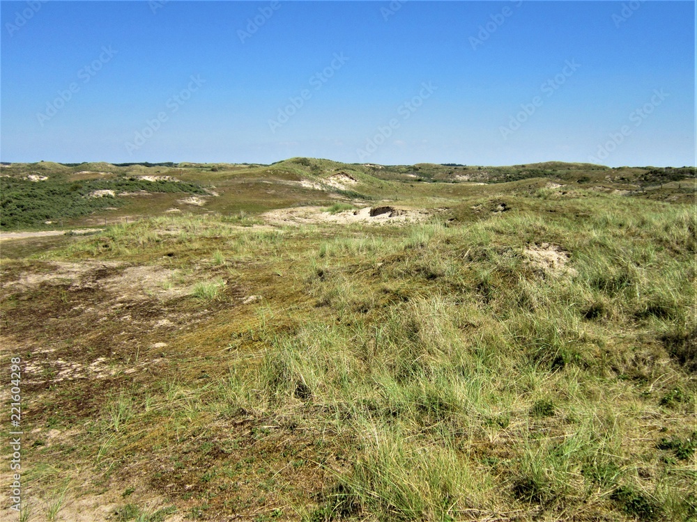 Grassland in Zandvoort, Netherlands Grassland in Zandvoort, Netherlands