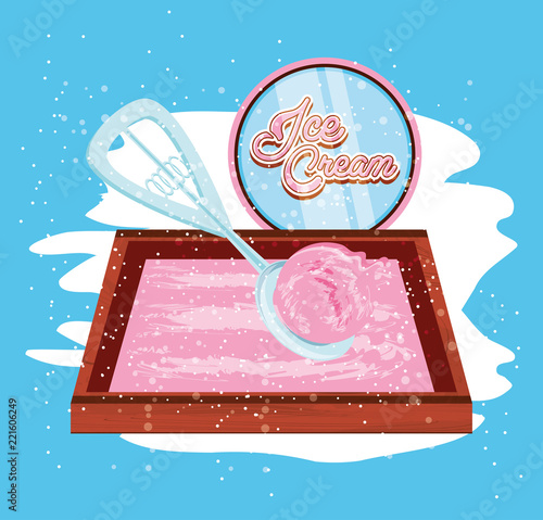 ice cream tray with ladle