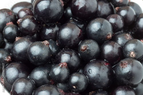 black currant berry close-up