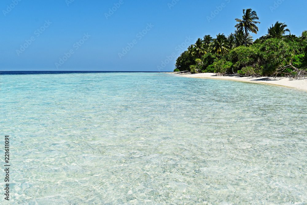 Fototapeta premium Maldivian beach with crystal clear water.