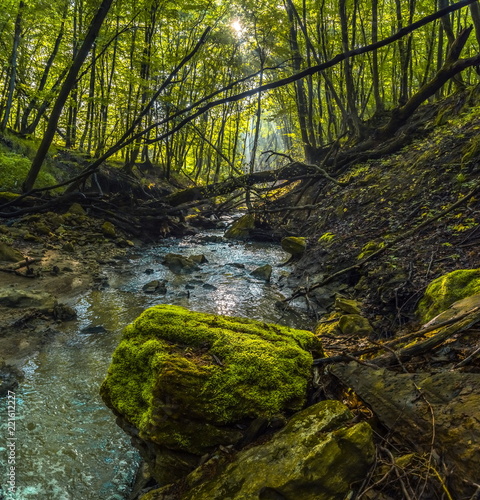 A foggy dawn in the spring forest. Dawn in the spring forest. Fog after the rain. Forest River.