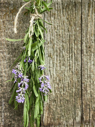 Lavender bouquet hanging besides  old shabby wooden wall to get dried  vertical  copy space. Alternative medicine and rustic concept.