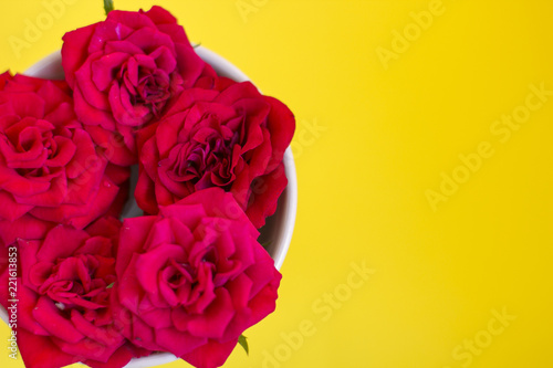 Arrangement from a cup for tea with roses on a yellow background