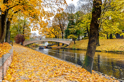 Colors of autumn in a public domain park, Europa