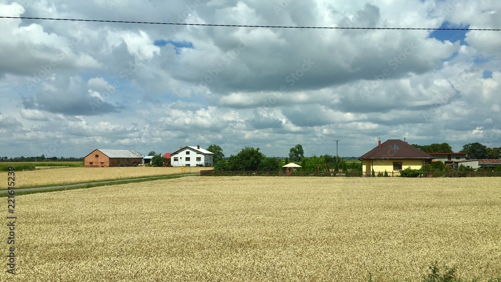 Polish fields