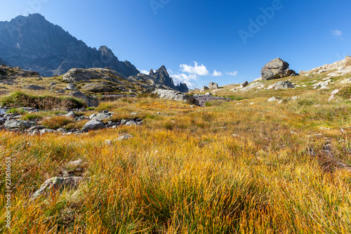 Obraz na płótnie Vue d'un vallon dans le Mercantour w salonie