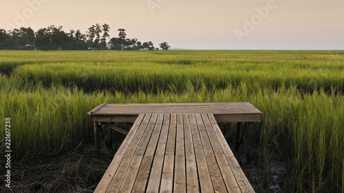 Dock on Marsh