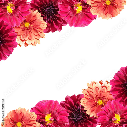 Fototapeta Naklejka Na Ścianę i Meble -  Beautiful floral background of dahlias 