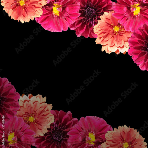 Fototapeta Naklejka Na Ścianę i Meble -  Beautiful floral background of dahlias 