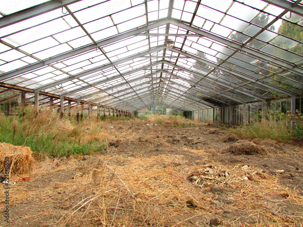Naklejka premium Greenhouse