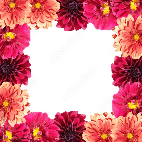 Fototapeta Naklejka Na Ścianę i Meble -  Beautiful floral background of dahlias 