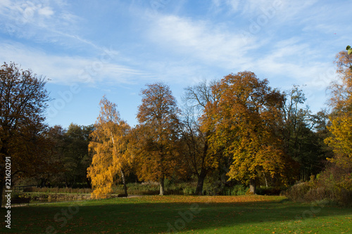 Beautiful autumn day in Frederiksbork park, Hilleroed, Denmark © Tomtsya