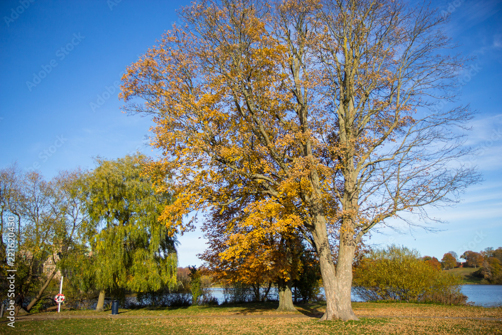 Beautiful autumn day in Frederiksbork park, Hilleroed, Denmark