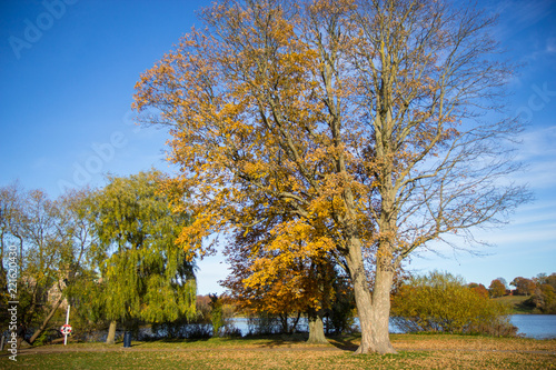 Beautiful autumn day in Frederiksbork park  Hilleroed  Denmark