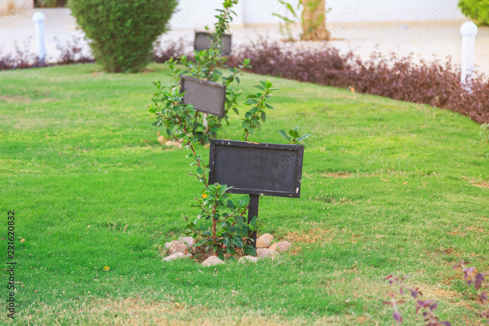 green lawn with black blank signs green lawn with black blank signs