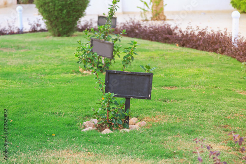 green lawn with black blank signs