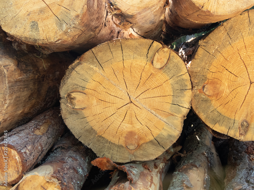 Naklejka premium Stack of wood