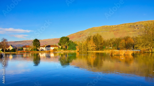 Reflections of trees and a clear blue sky on a rural village pond.