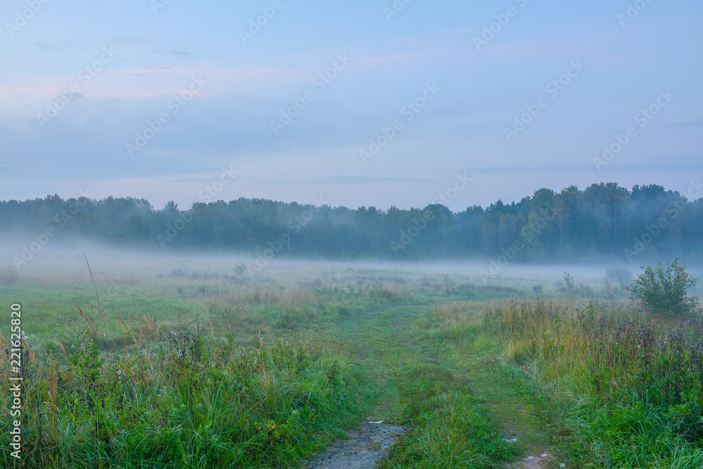 Drive out of town on a foggy autumn morning. Drive out of town on a foggy autumn morning.
