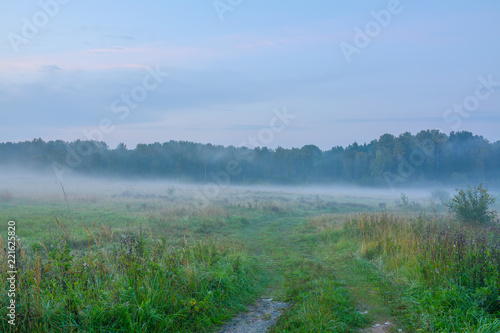 Drive out of town on a foggy autumn morning.