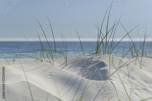 Horizon seen above the dune