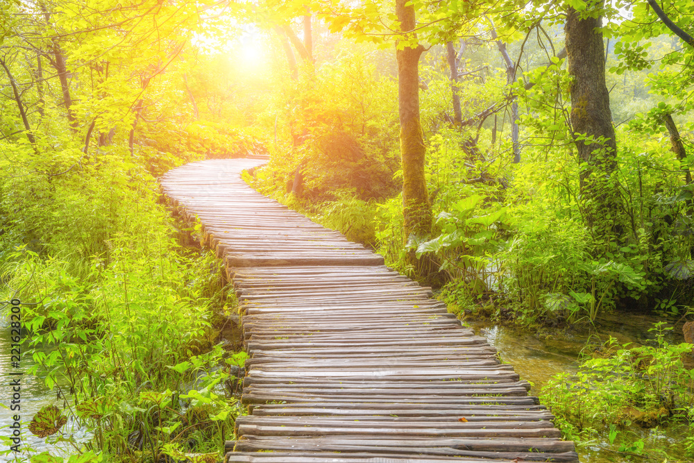 Obraz premium Boardwalk in the forest -Plitvice