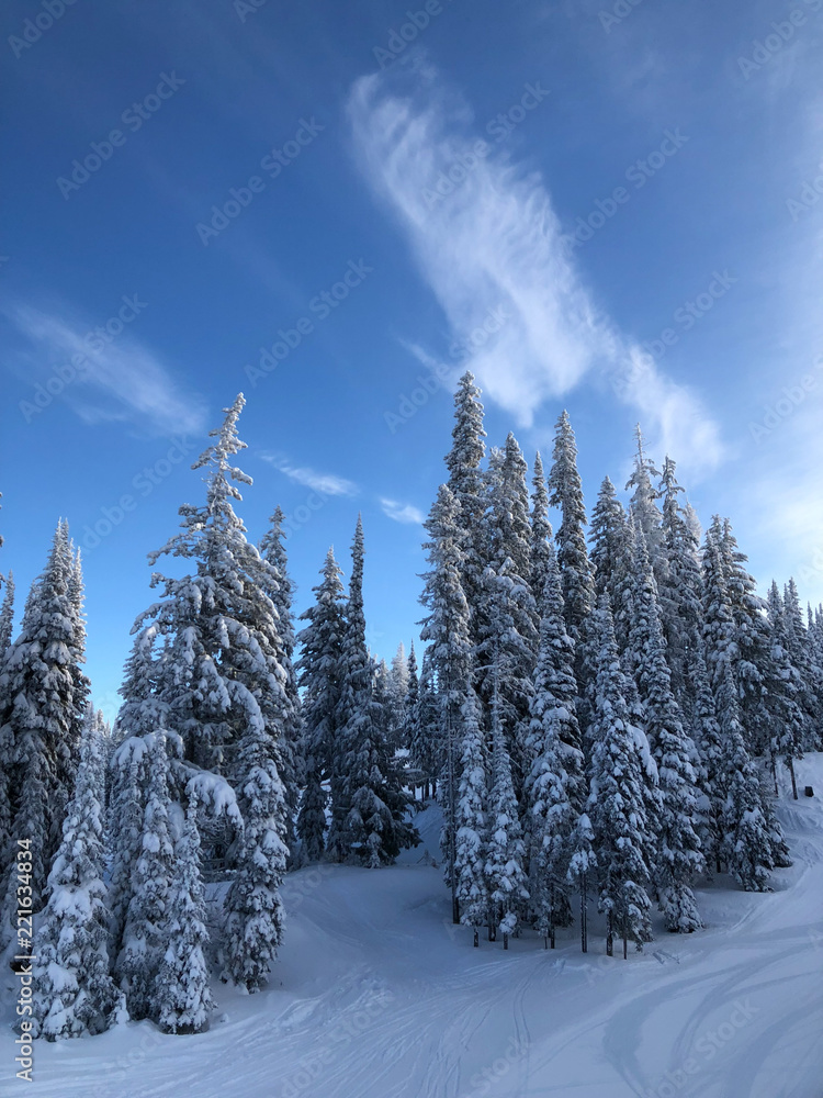 Sunny day with blue skies over forest covered mountains