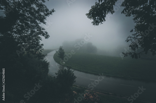 An asphalt road that goes through a misty dark misterious forest © Oscar