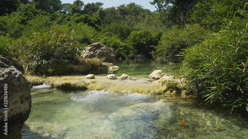 River flows through the rainforest in the jungle. Tropical river  jungle. Tropical Rainforest Landscape.