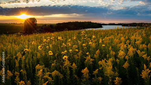 sunset over a field of wildflowers photo