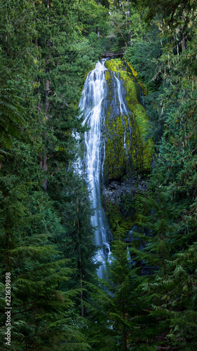 Lower Proxy Falls, Oregon USA	 photo