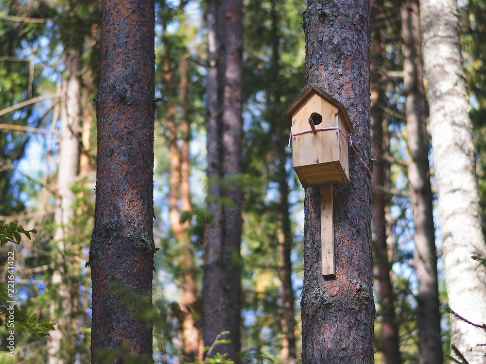 birdhouse on a tree birdhouse on a tree